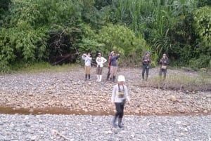 Peruviansk jungle Manu Park Fire dage / tre nætter