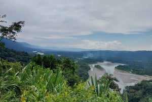 Peruviansk jungle Manu Park Fire dage / tre nætter