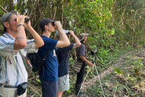 Peruvian Jungle Manu Park Four days / three nights