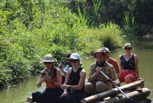 Peruvian Jungle Manu Park Four days / three nights