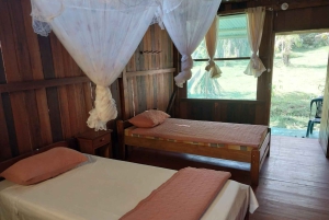 Peruvian Jungle Manu Park Four days / three nights