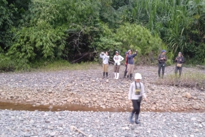 Peruvian Jungle Manu Park Four days / three nights