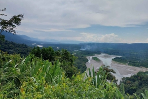 Peruvian Jungle Manu Park Four days / three nights