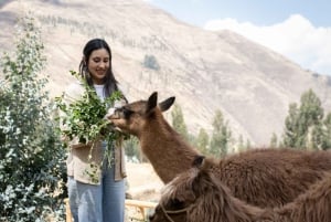 Pisac: Full day de Creatividad Artesanal e Interpretación de Sonidos