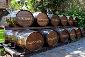 Pisco and Wine Tasting Tour - Embarking on the Pisco Route