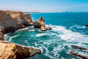 Pisco Cruise Ship Terminal: Paracas Reserve Tour, Transportation Included