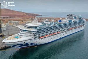 Pisco Cruise Terminal: Ballestas Islands and Paracas Excursion with Transfer