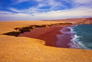 Pisco Cruise Terminal: Ballestas Islands and Paracas Excursion with Transfer