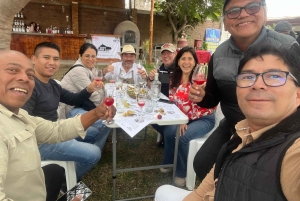 Pisco | History, Nature and Archaeology in the Pisco Valley