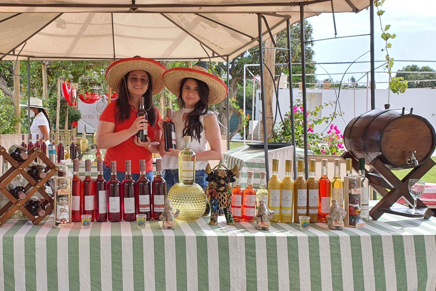 Pisco Route and a visit to the city of Ica