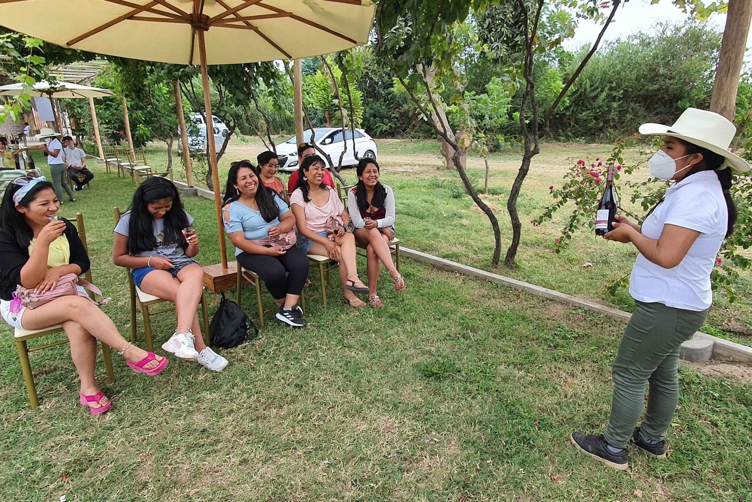 Pisco Route and a visit to the city of Ica