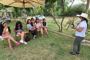 Pisco Route and a visit to the city of Ica