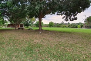 Pisco Route and a visit to the city of Ica