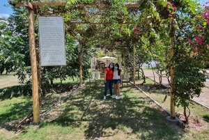 Pisco Route and a visit to the city of Ica