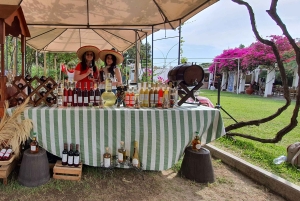 Pisco Route and a visit to the city of Ica