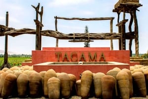 Pisco tasting in the vineyards of Ica.