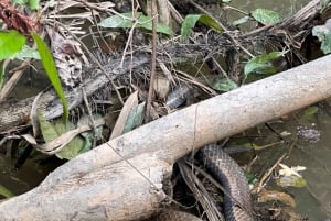 アマゾン・フル・エクストリーム 5日間4泊 | レティシア・アマゾン