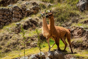 Poc Poc Falls Tour along the Qhapaq Ñan