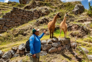 Poc Poc Falls Tour along the Qhapaq Ñan