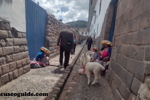 Private Cusco Walking Tour: Downtown, Sun Temple, San Blas