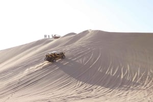 Private Excursion to Huacachina and Hacienda Tacama from Lima