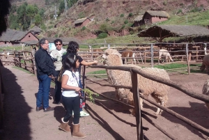 Private Full-Day Sacred Valley & Alpaca Farm Tour