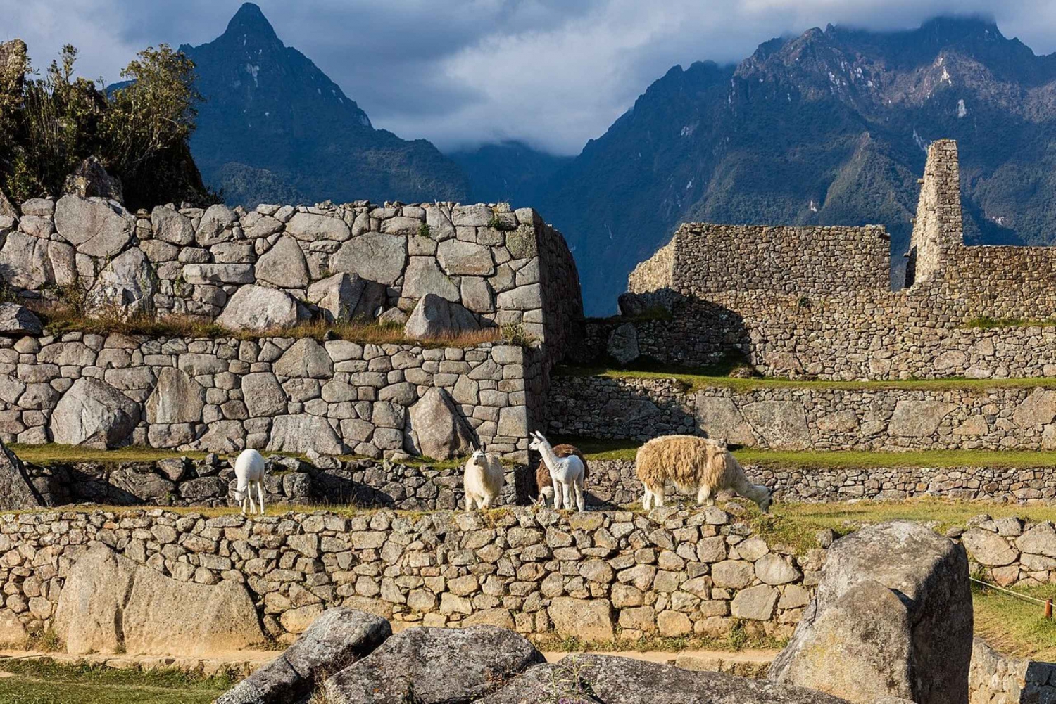 From Cusco: Private Full-Day Machu Picchu Tour with Lunch
