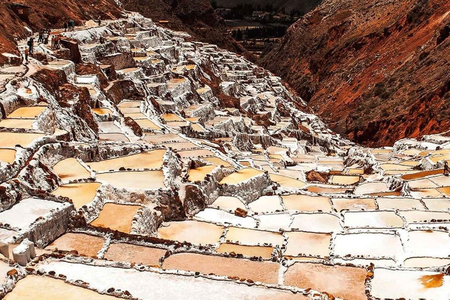 Tour privado a Maras Moray y minas de sal desde Ollantaytambo