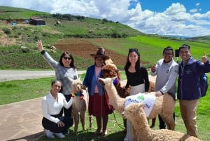 Privat VIP-utflukt til Maras, Moray og Ollantaytambo – med guide på portugisisk