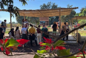 Pro Sanboarding or skiing in Huacachina from Lima - Day trip