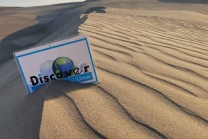 Professional sandboarding and sand skiing school in Huacachina