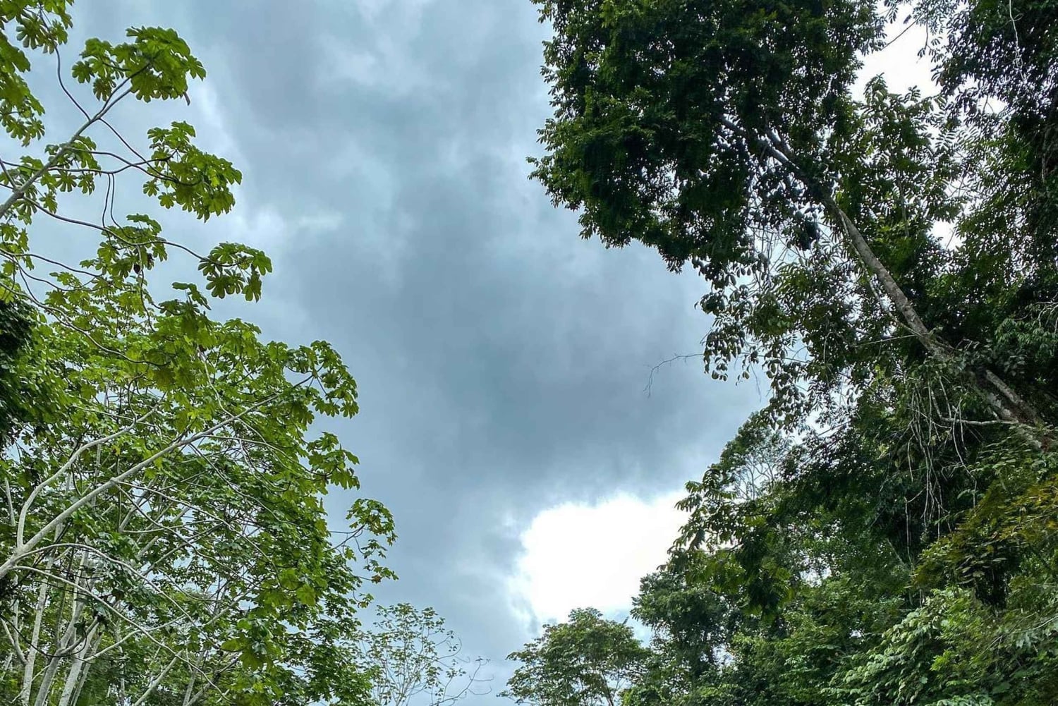 Pucallpa: Regalias waterval