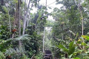 Pucallpa: Regalias Waterfall