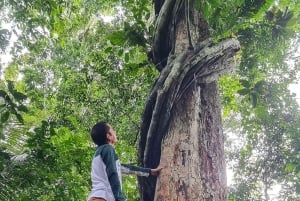 Pucallpa: Regalias waterval