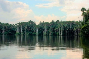 Puerto Maldonado: 2-Day Jungle Tour with Meals & Guide