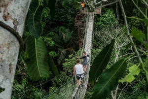 Puerto Maldonado: Viagem de 2 dias à selva peruana de Tambopata