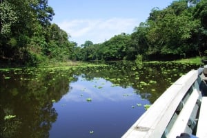 Puerto Maldonado: 2 päivän Perun Tambopata-viidakkomatka