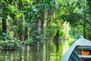 Puerto Maldonado: 2-Day Peruvian Tambopata Jungle Trip