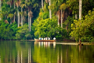 Puerto Maldonado: 2-Day Peruvian Tambopata Jungle Trip