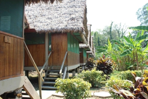 Puerto Maldonado: 2-Day Peruvian Tambopata Jungle Trip