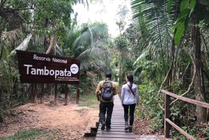 Puerto Maldonado: 3-Day Amazon Jungle Tour with Lodging