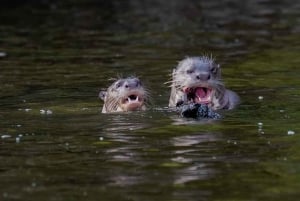 Puerto Maldonado: 3-Day Tambopata Jungle Tour