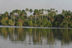 Puerto Maldonado: 3-Day Tambopata Jungle Tour