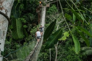 Puerto Maldonado: 3 päivän Tambopatan kansallispuiston retki