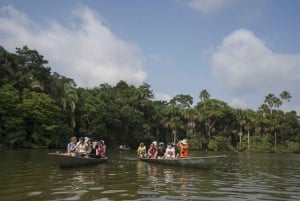 Puerto Maldonado: 4-tägige Amazonas-Dschungel-Tour mit Mahlzeiten