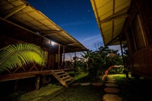 Puerto Maldonado: 4 dias na selva de Tambopata e lambida de argila das araras