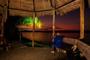 Puerto Maldonado: 4 dias na selva de Tambopata e lambida de argila das araras