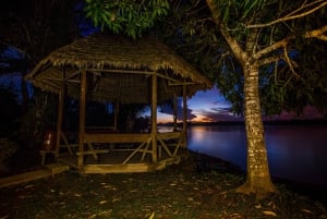 Puerto Maldonado: 4 dias na selva de Tambopata e lambida de argila das araras