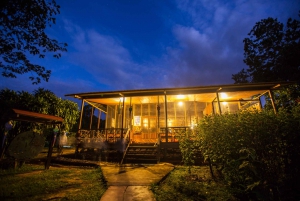 Puerto Maldonado: 4-day Tambopata National Reserve Tour