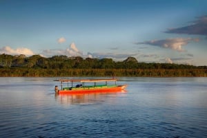 Puerto Maldonado: 4-day Tambopata National Reserve